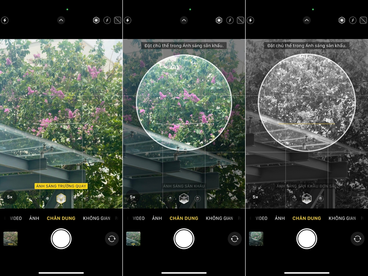 Portrait Lighting l&agrave; bộ hiệu ứng &aacute;nh s&aacute;ng