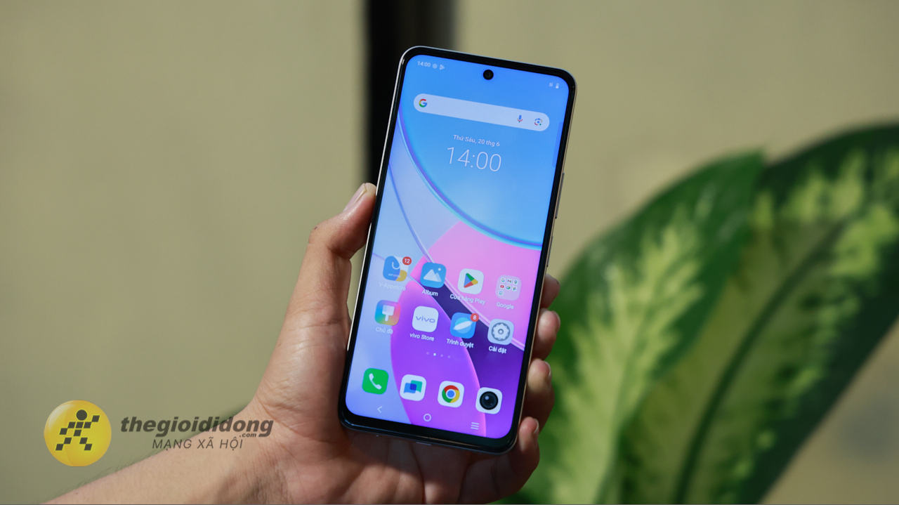 phần viền dưới dày