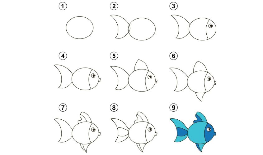 Cách vẽ con cá 1 Cách vẽ con cá 1