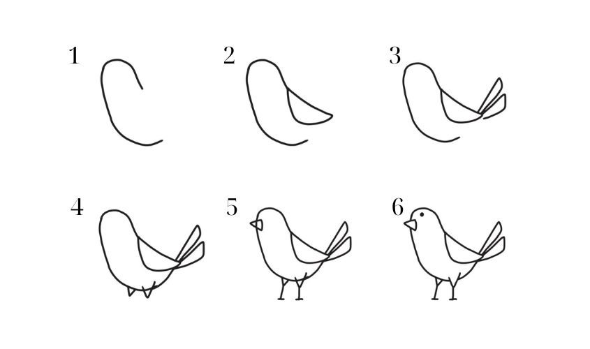 Cách vẽ con chim 1 Cách vẽ con chim 1
