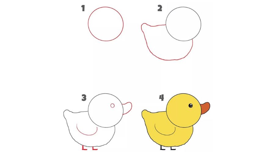Cách vẽ con vịt cute Cách vẽ con vịt cute