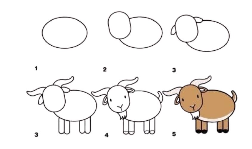 Cách vẽ con dê chỉ với 6 bước Cách vẽ con dê chỉ với 6 bước