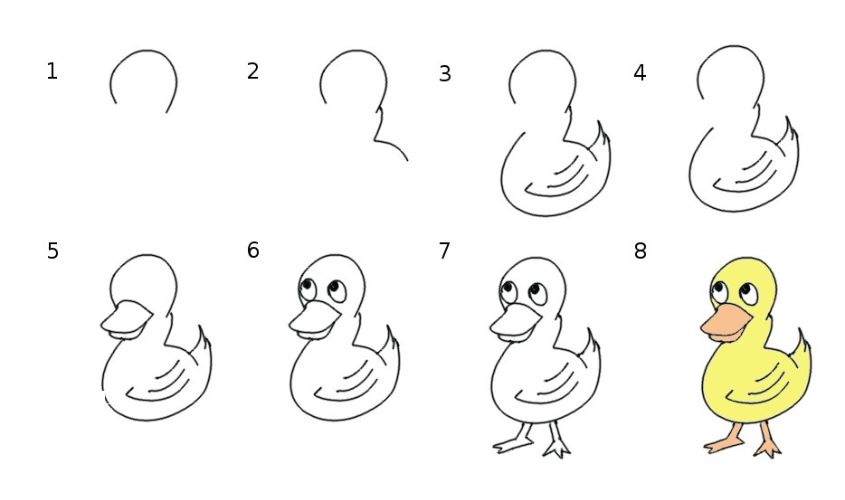 Cách vẽ con vịt đơn giản Cách vẽ con vịt đơn giản
