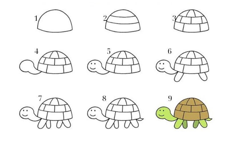 Cách vẽ con rùa Cách vẽ con rùa