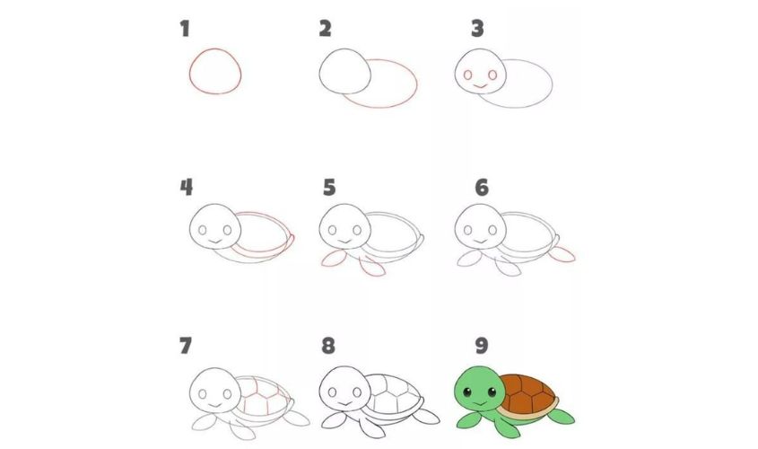 Cách vẽ con rùa đơn giản Cách vẽ con rùa đơn giản