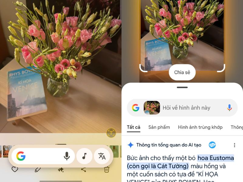 C&aacute;ch sử dụng Circle to Search