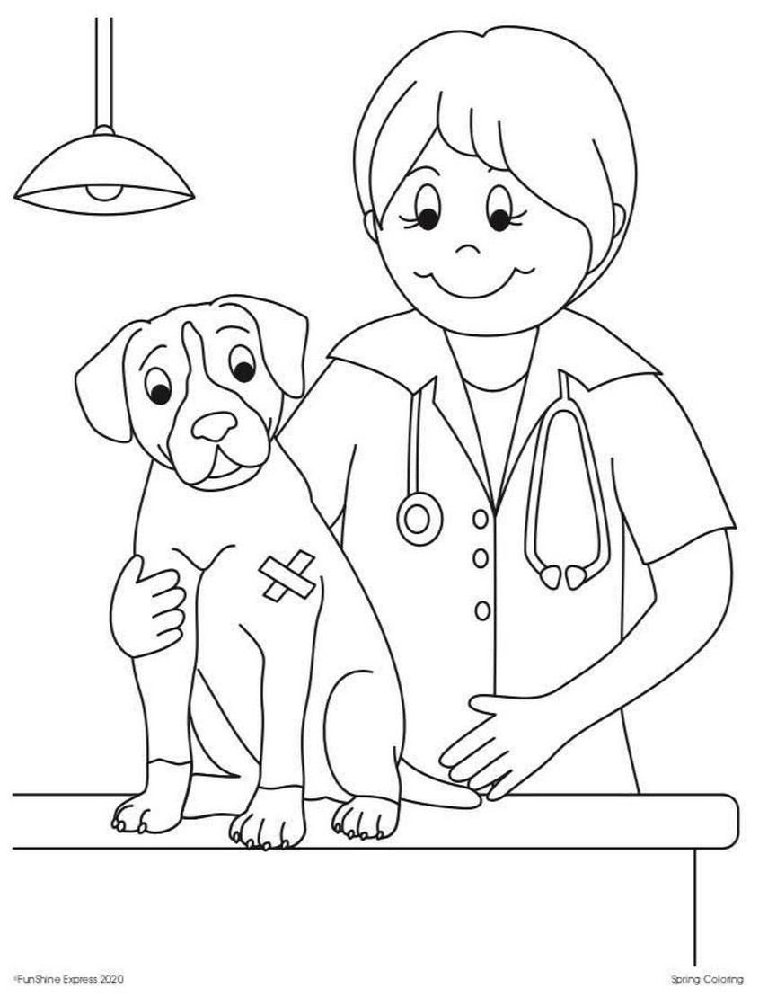 Tranh tô màu nghề nghiệp bác sĩ thú y