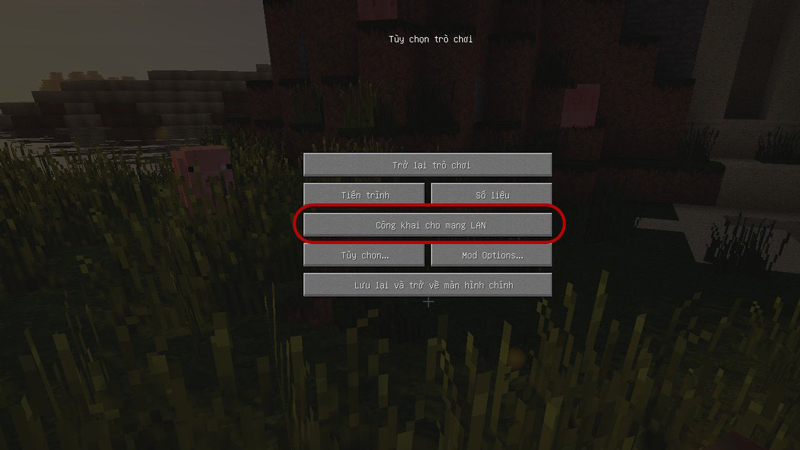 Mở menu bằng phím Esc và bật chế độ công khai cho mạng LAN để kích hoạt nhập lệnh