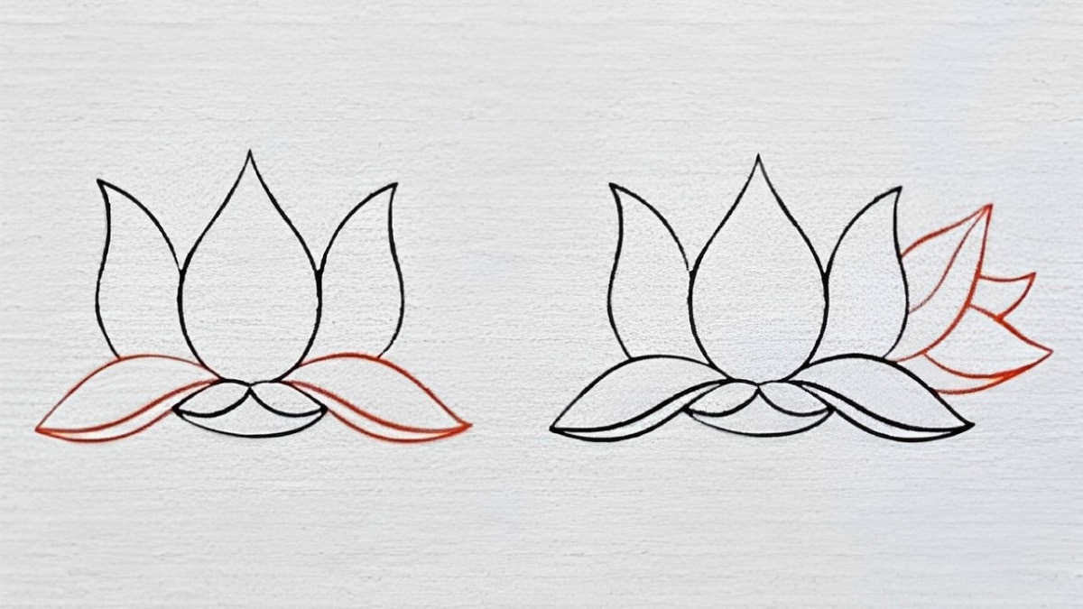 Vẽ thêm vài cánh hoa phía trước và phía sau