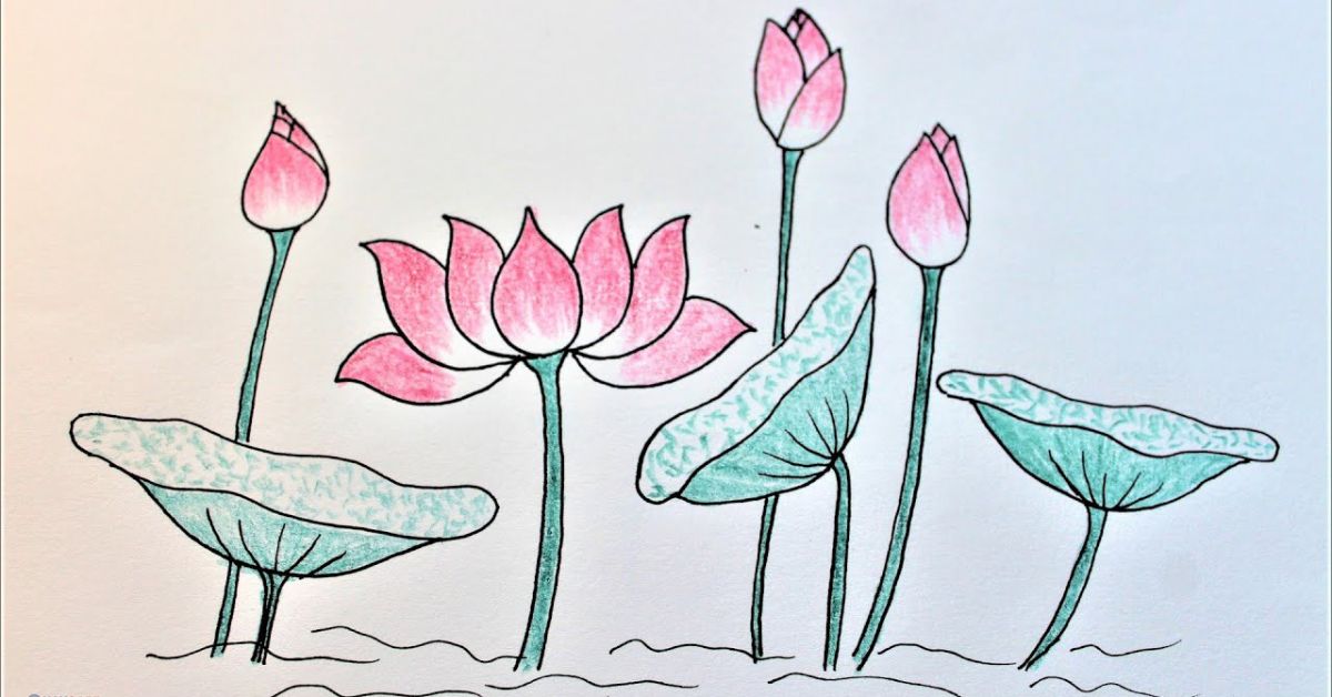 Mẫu 4: tranh vẽ hoa sen đẹp