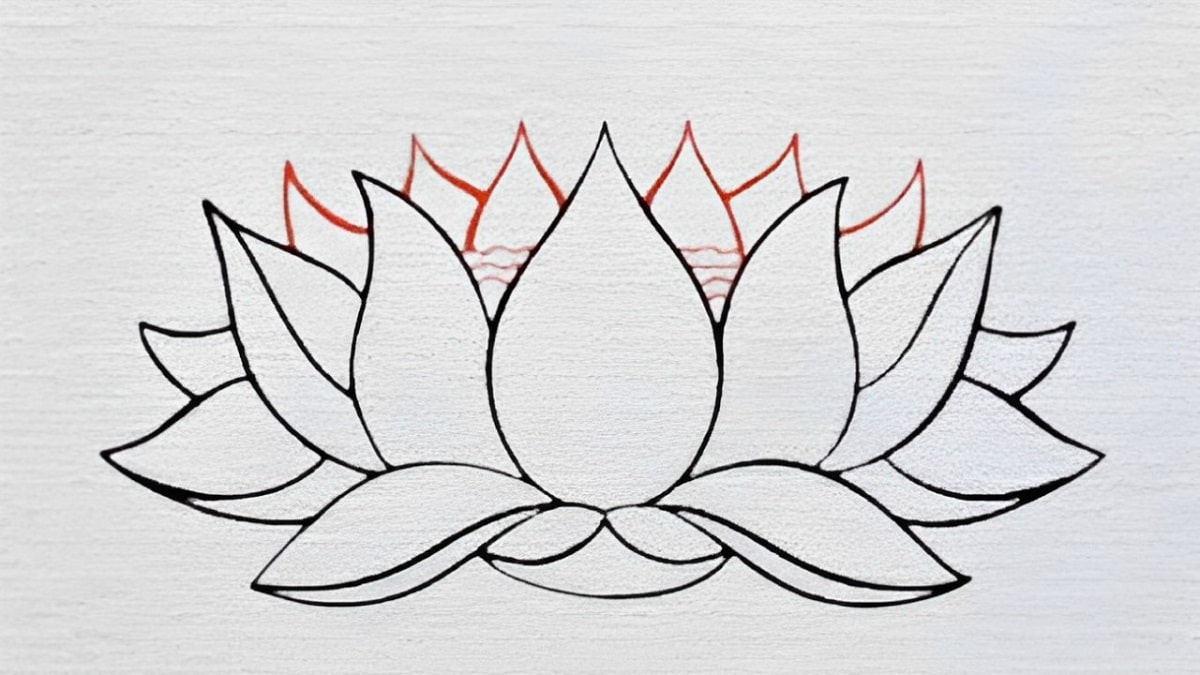 Vẽ hoa sen