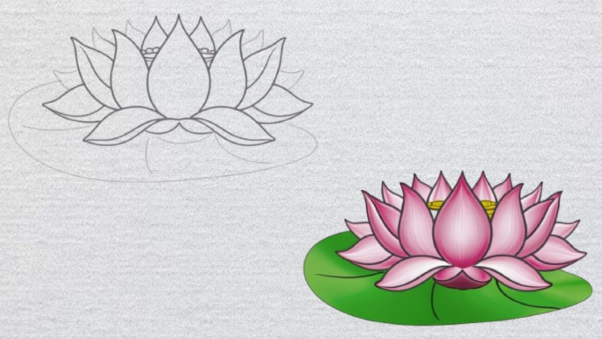 Vẽ thêm một chiếc lá sen lớn phía dưới bằng nét cong tròn