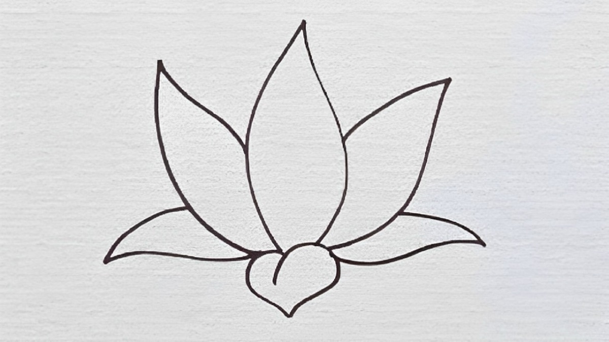 Bạn vẽ thêm hai cánh hoa lớn hai bên, mở rộng ra ngoài