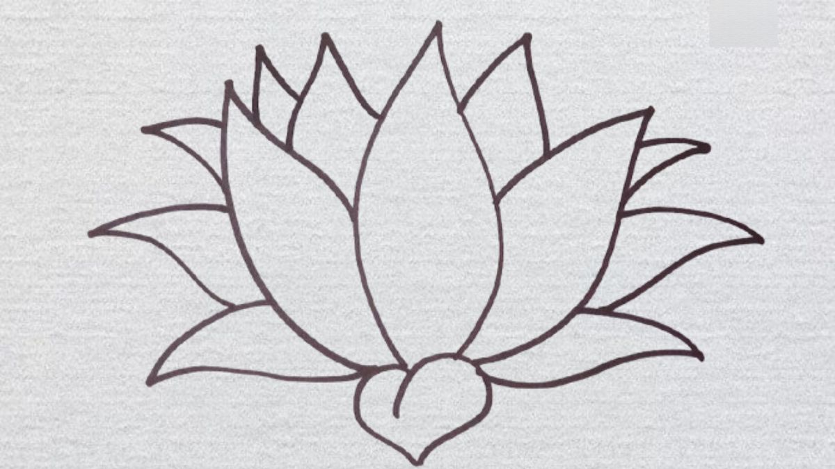 Tiếp tục vẽ thêm các lớp cánh ở hai bên