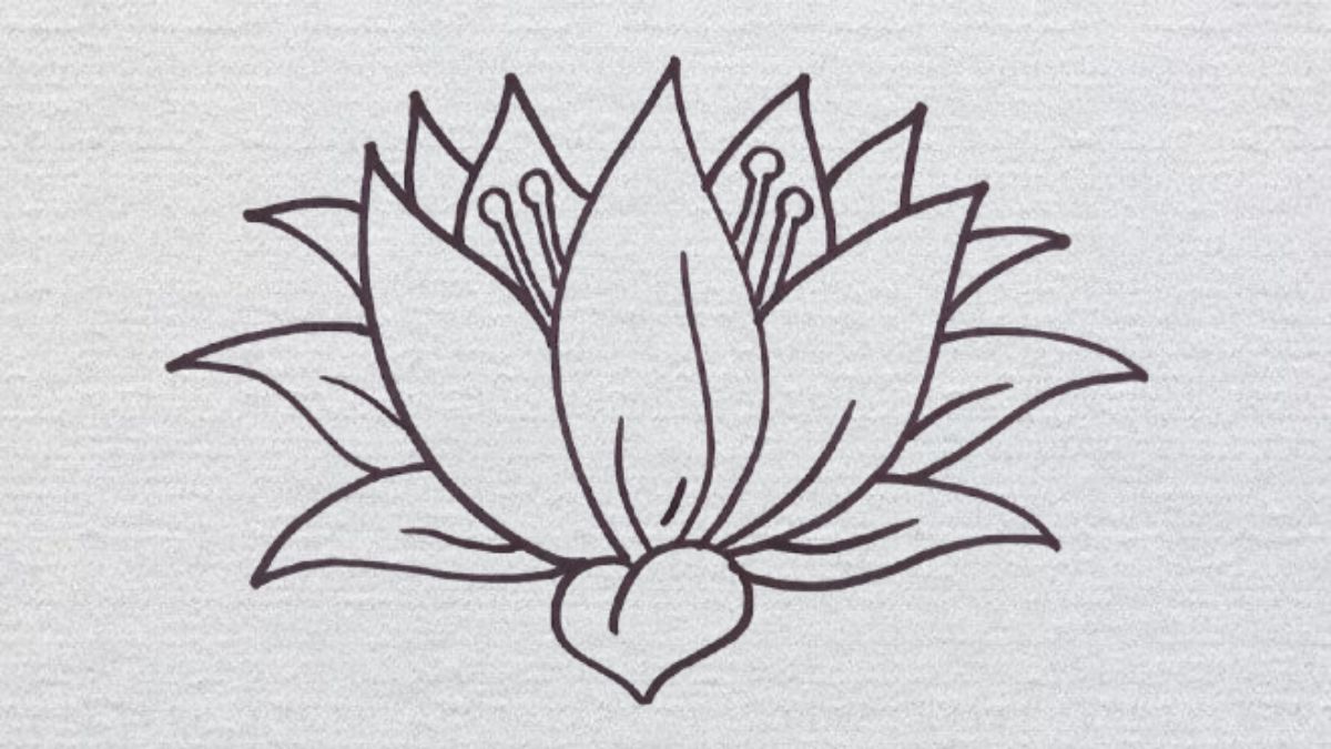 Phía trên phần tâm hoa, bạn vẽ thêm các nét nhỏ mô phỏng nhụy sen.