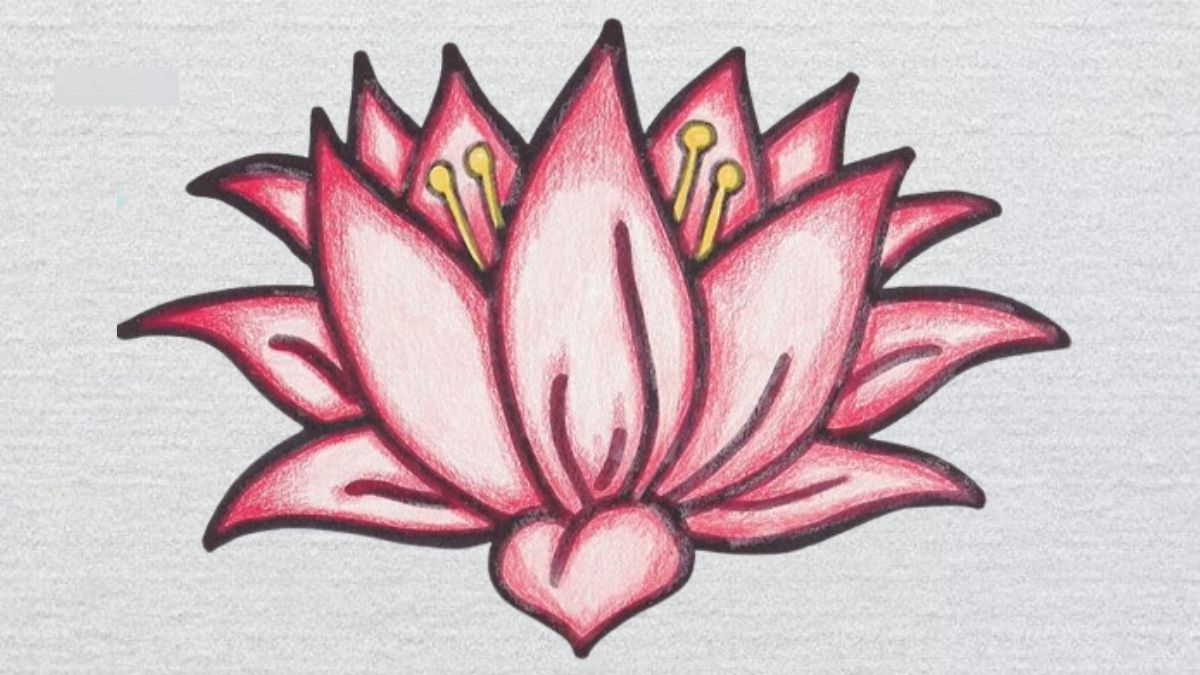 Vẽ thêm vài chiếc lá sen xung quanh để tranh hài hòa hơn