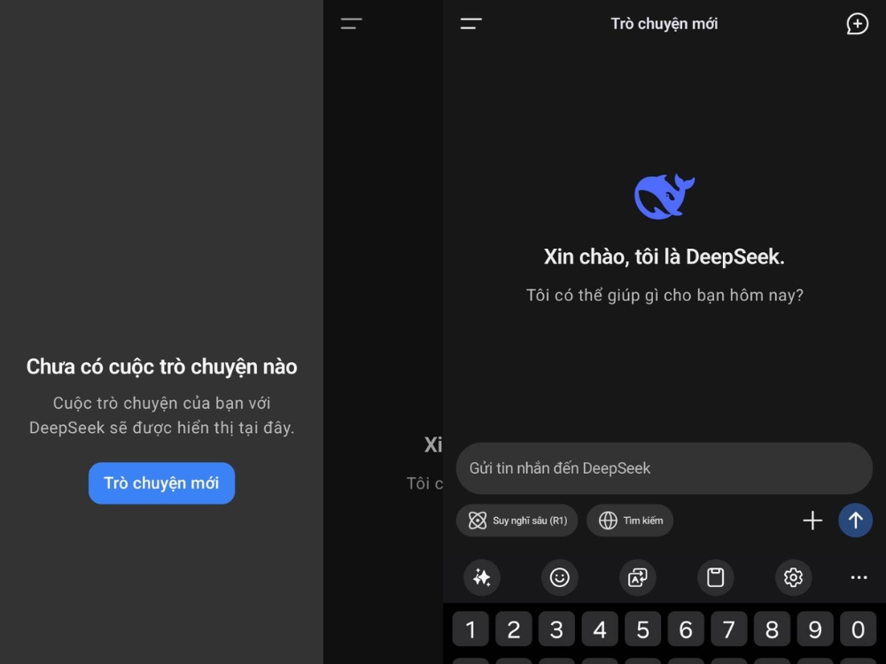 Ứng dụng đa nhiệm DeepSeek