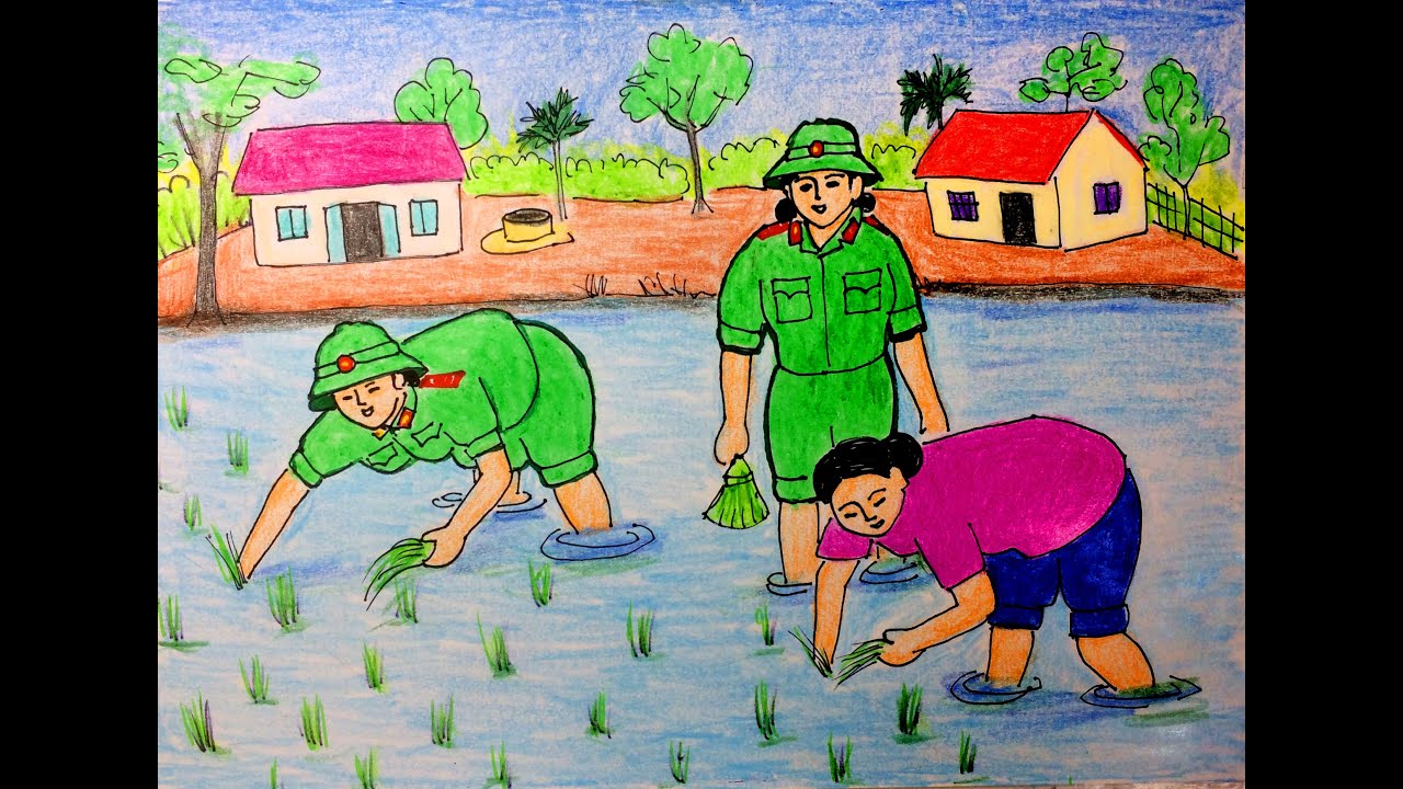 Tranh mẫu 2: Vẽ chú bộ đội gặt lúa giúp dân