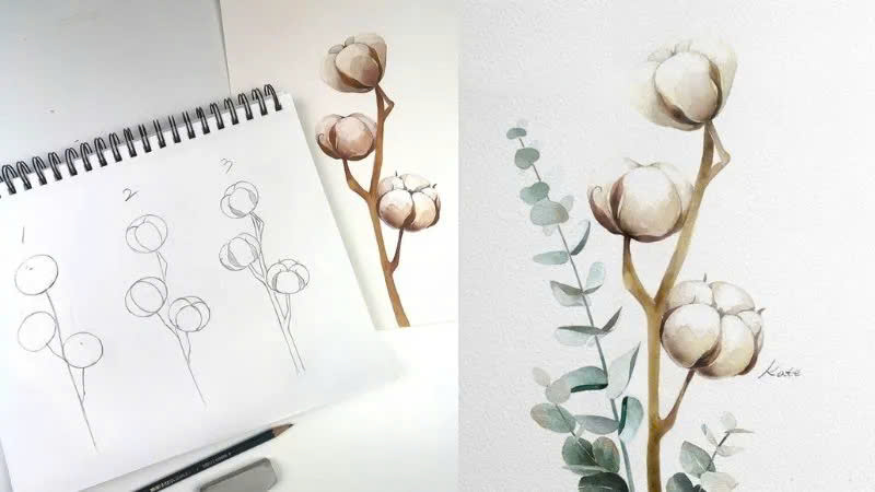 Cách vẽ hoa bông gòn Cách vẽ hoa bông gòn