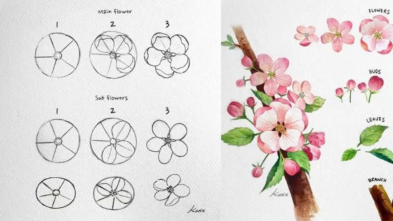 Cách vẽ cành hoa táo đơn giản Cách vẽ cành hoa táo đơn giản