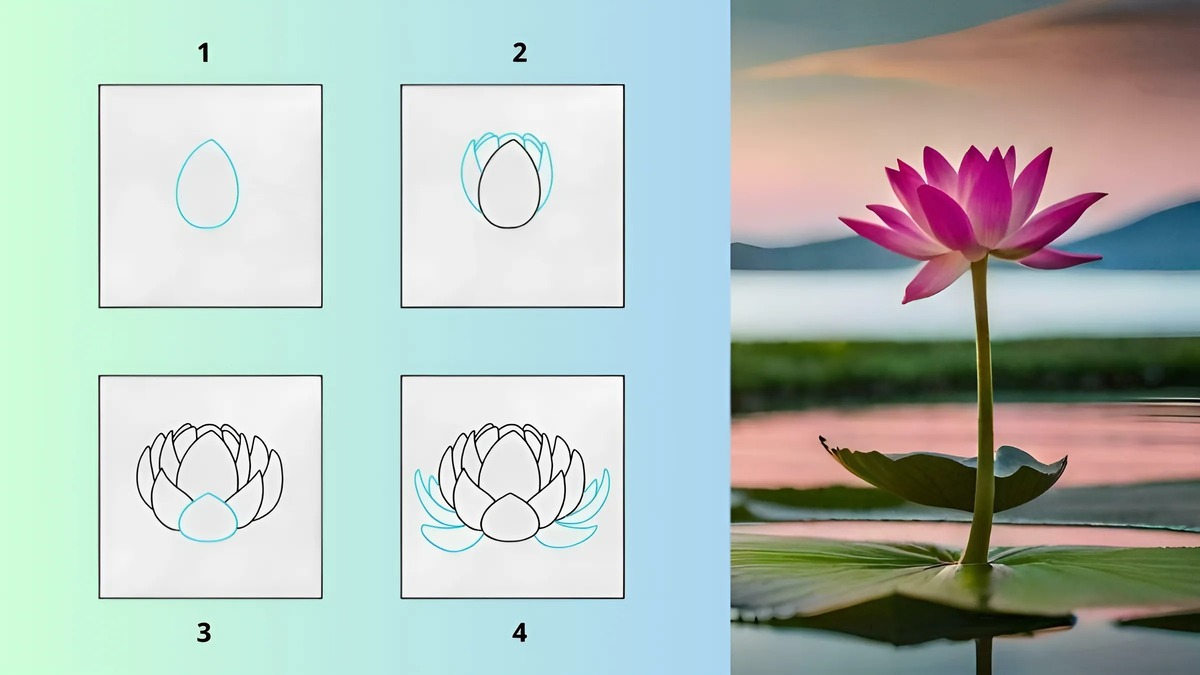 Cách vẽ hoa sen Cách vẽ hoa sen