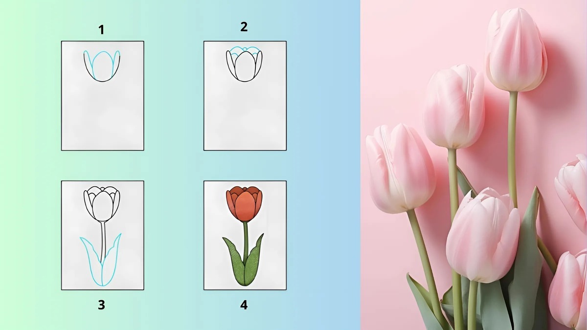 Cách vẽ hoa Tulip Cách vẽ hoa Tulip