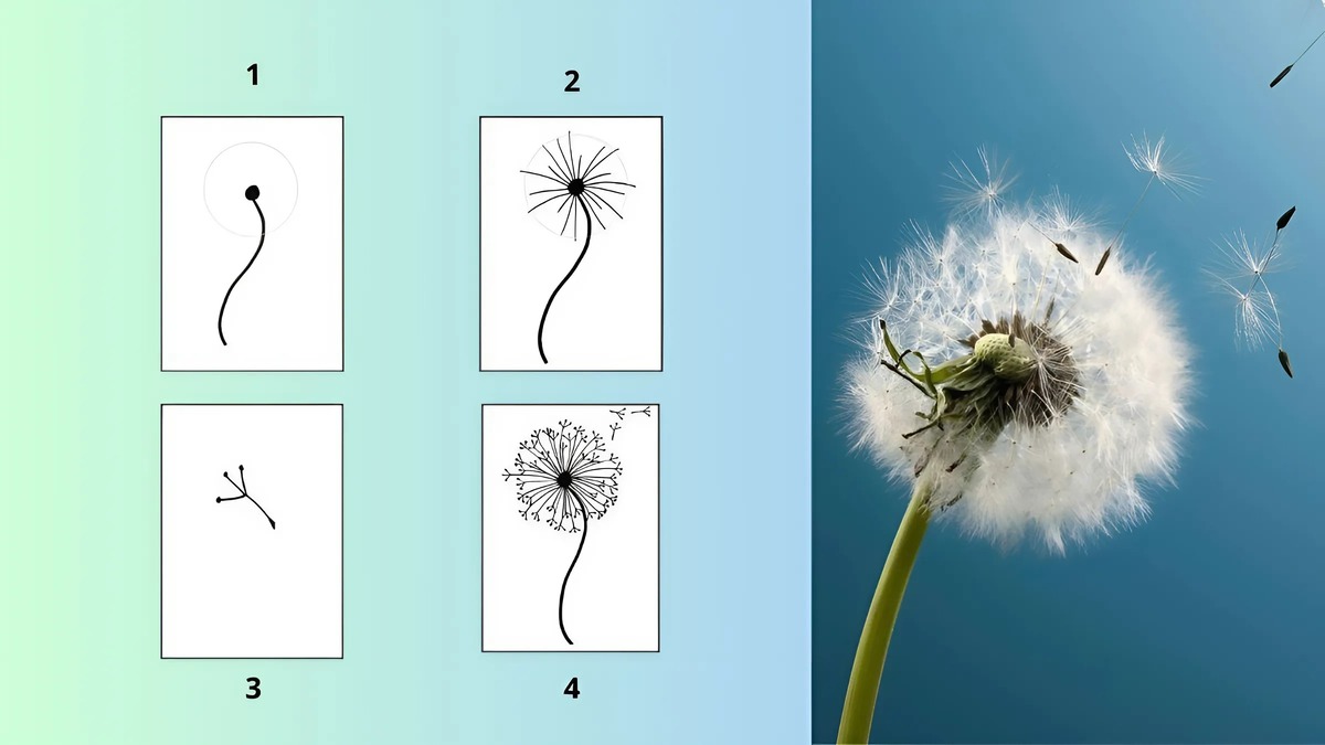 Cách vẽ hoa bồ công anh nhẹ nhàng và bay bổng Cách vẽ hoa bồ công anh nhẹ nhàng và bay bổng