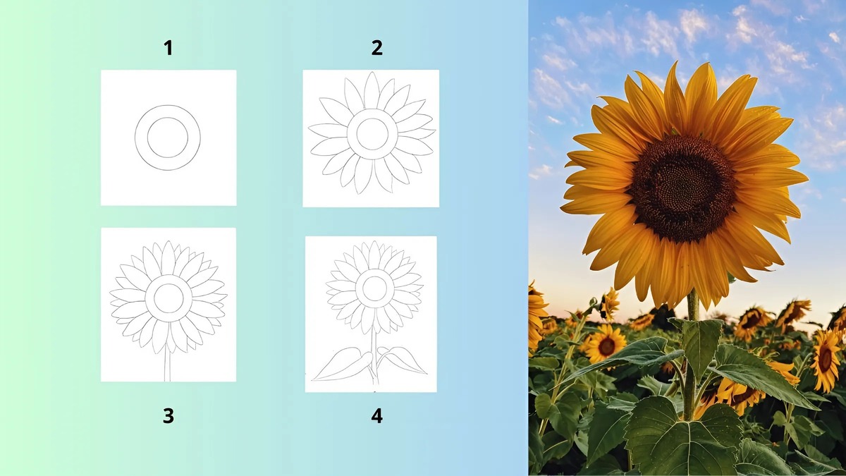 Hoa anh túc nổi bật với vẻ đẹp mê hoặc và nét quyến rũ bí ẩn Hoa anh túc nổi bật với vẻ đẹp mê hoặc và nét quyến rũ bí ẩn