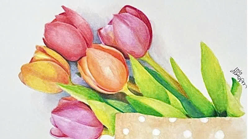 Mẫu tranh vẽ hoa tulip đẹp Mẫu tranh vẽ hoa tulip đẹp