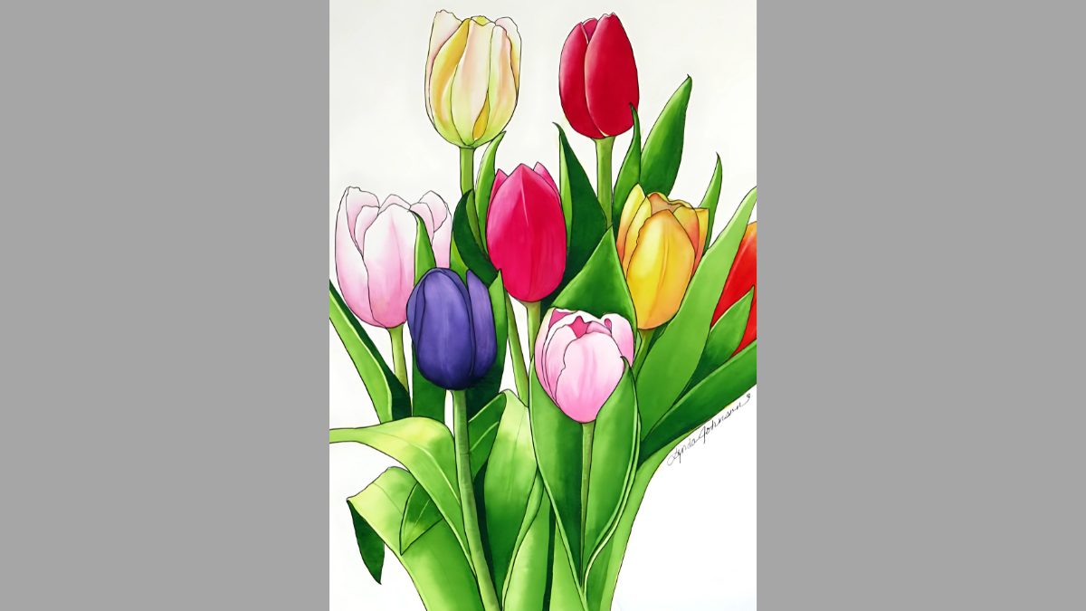 Mẫu tranh vẽ hoa tulip đẹp Mẫu tranh vẽ hoa tulip đẹp