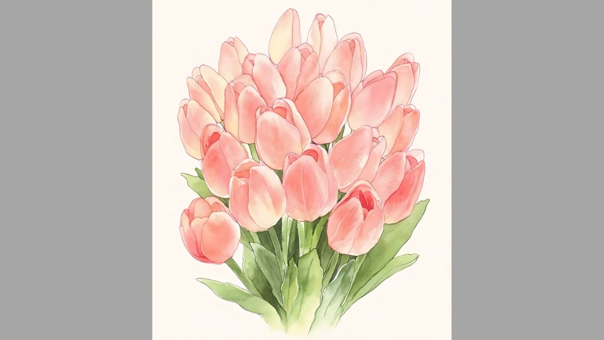 Mẫu tranh vẽ hoa tulip đẹp Mẫu tranh vẽ hoa tulip đẹp