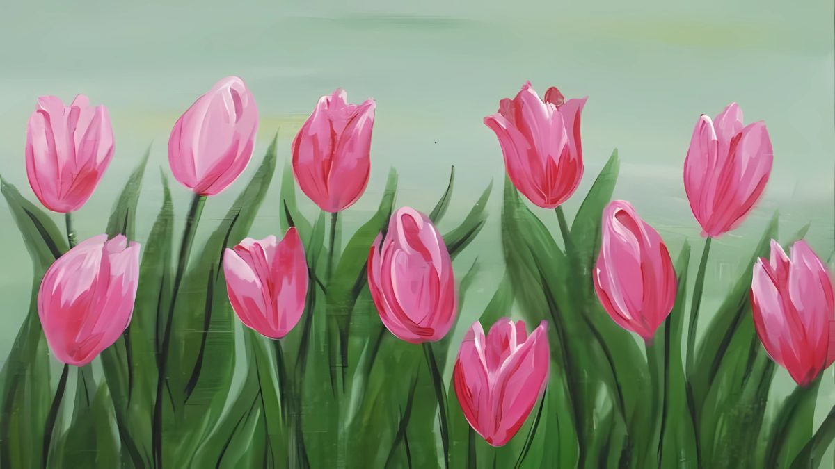 Mẫu tranh vẽ hoa tulip đẹp Mẫu tranh vẽ hoa tulip đẹp