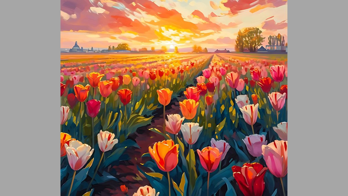 Mẫu tranh vẽ hoa tulip đẹp Mẫu tranh vẽ hoa tulip đẹp