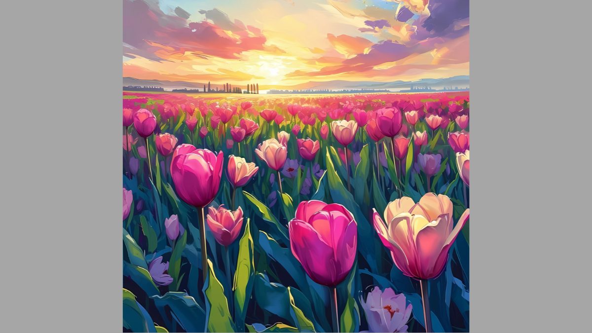 Mẫu tranh vẽ hoa tulip đẹp Mẫu tranh vẽ hoa tulip đẹp