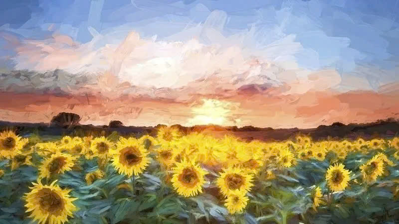 Mẫu tranh vẽ hoa hướng dương đơn giản Mẫu tranh vẽ hoa hướng dương đơn giản