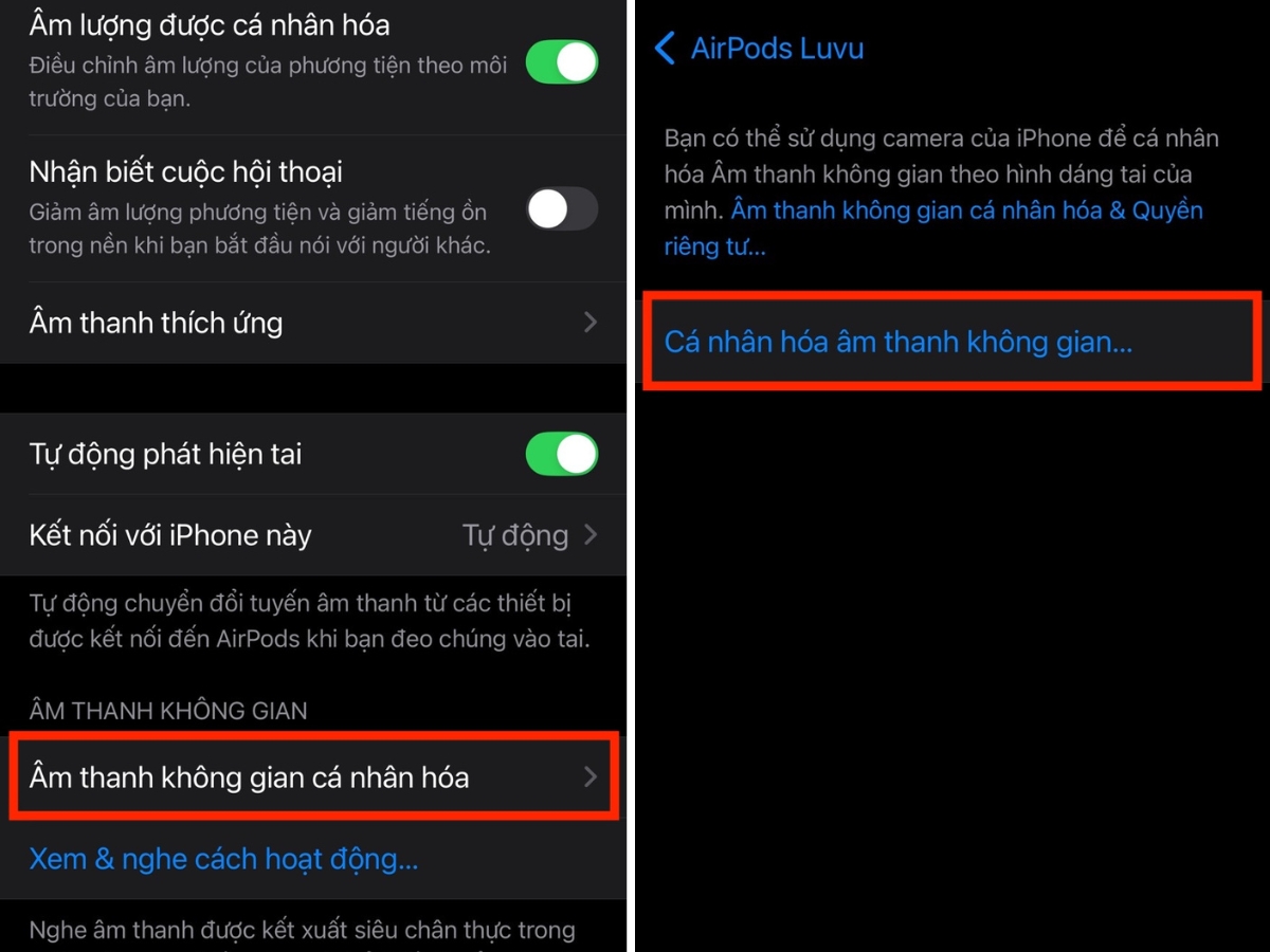 Chọn C&aacute; nh&acirc;n ho&aacute; &acirc;m thanh kh&ocirc;ng gian