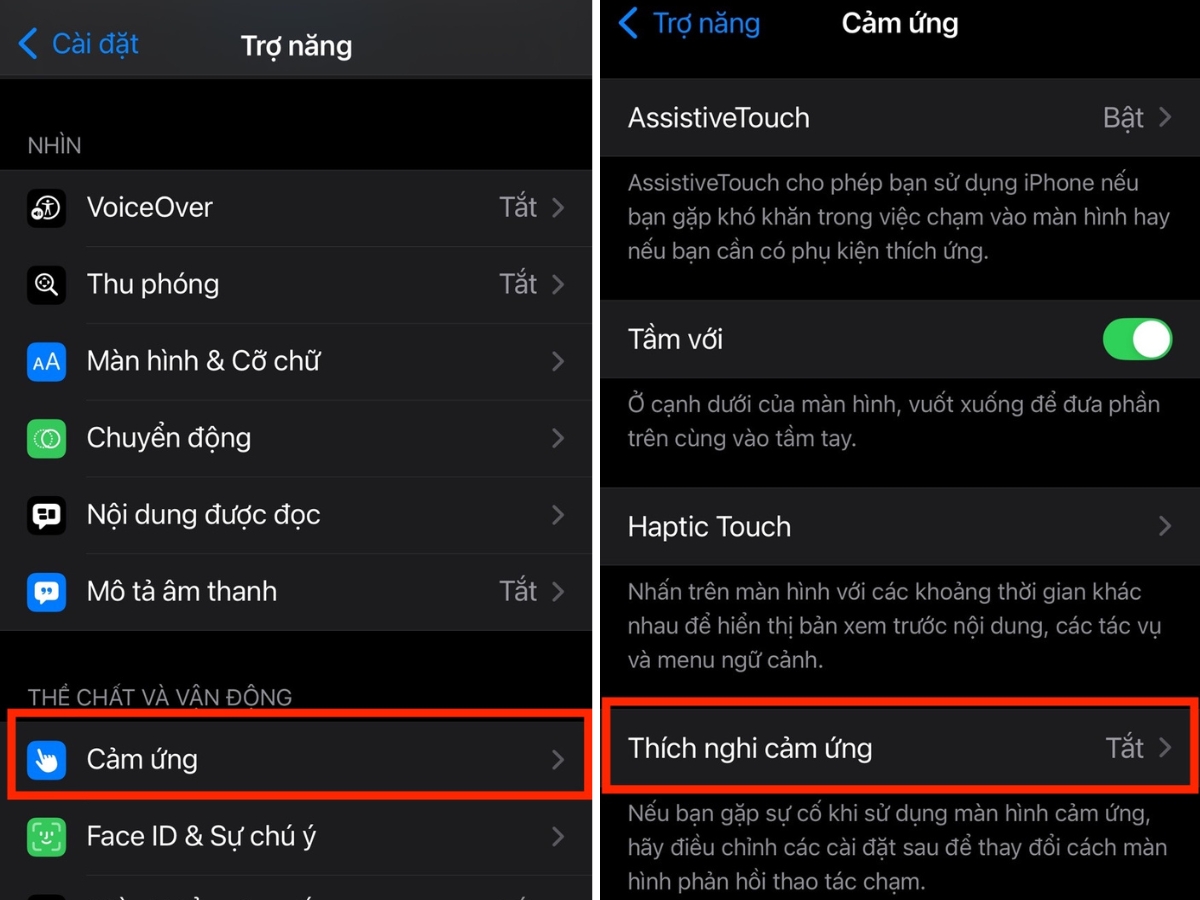 Cảm ứng > Th&iacute;ch nghi cảm ứng