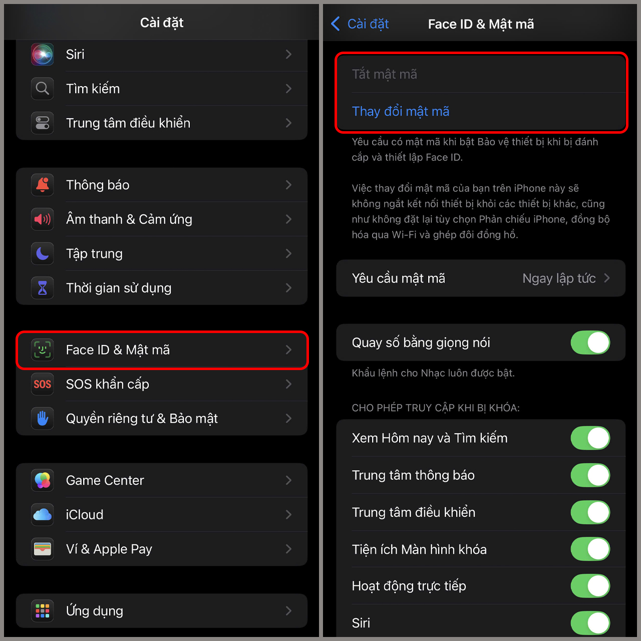 Mật mã iPhone là gì