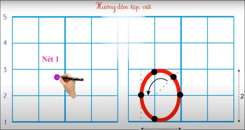 Hình minh hoạ nét cong khép kín