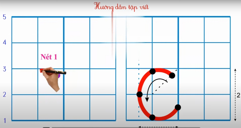 Hình minh hoạ nét cong trái