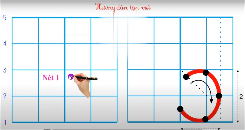 Hình minh hoạ nét cong phải