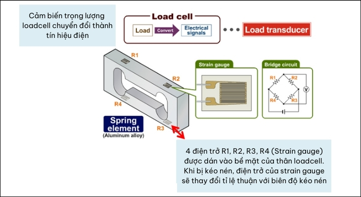 Nguyên lý hoạt động của cảm biến trọng lượng Load Sensor