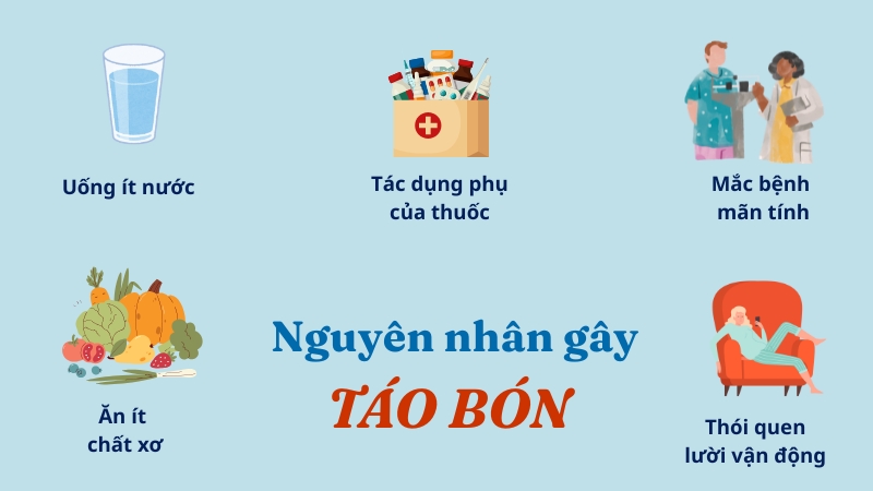 Nguyên nhân gây táo bón ở người lớn tuổi