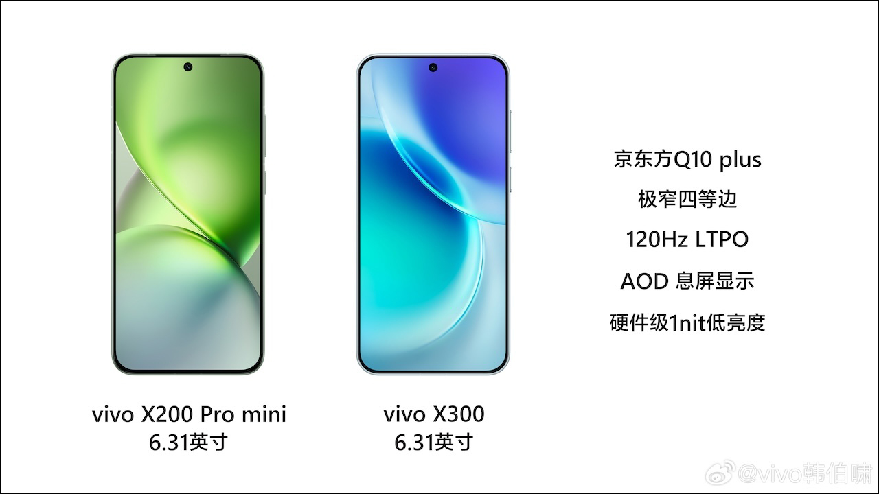 Vivo X300 Series Vivo X300 Series