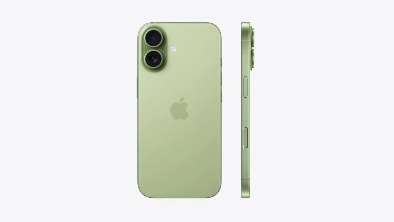 M&agrave;u xanh l&aacute; tượng trưng cho sự sinh s&ocirc;i, ph&aacute;t triển v&agrave; c&acirc;n bằng