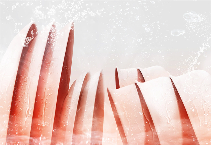 Máy rửa chén độc lập Toshiba DW-15F9(B)-VN với tính năng bảo quản tiện lợi