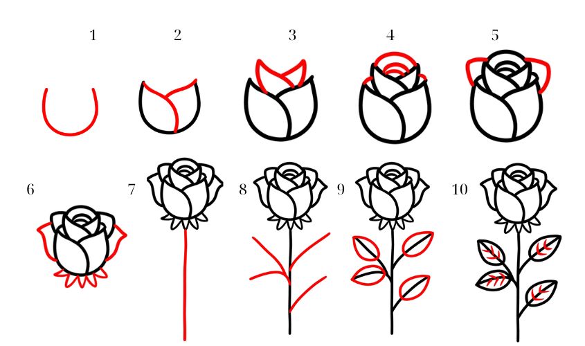 Cách vẽ hoa hồng cách điệu