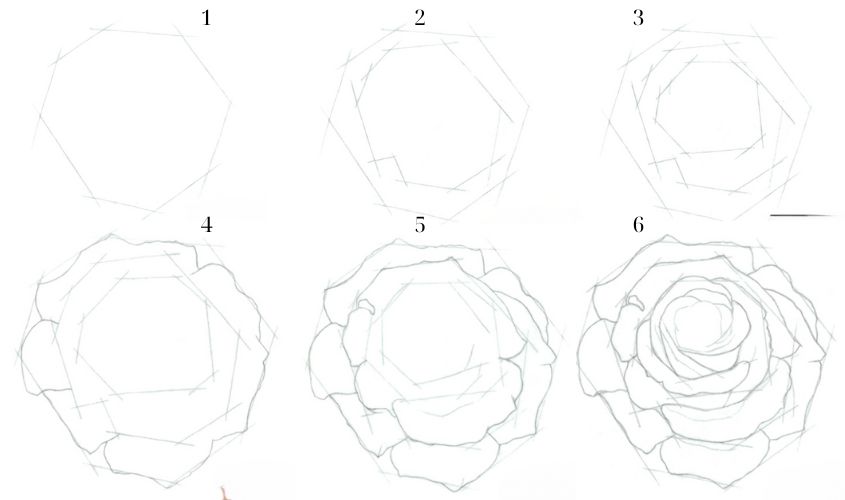 Cách vẽ hoa hồng 3D bằng bút chì