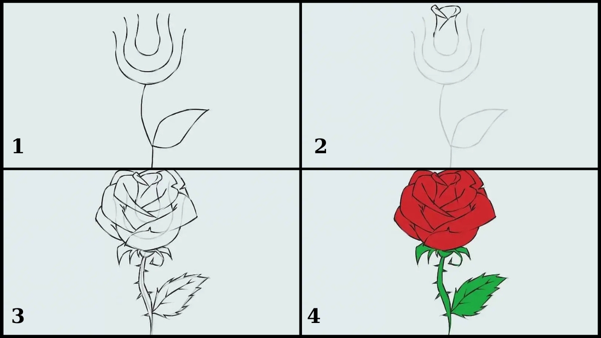 Vẽ hoa hồng đơn lẻ