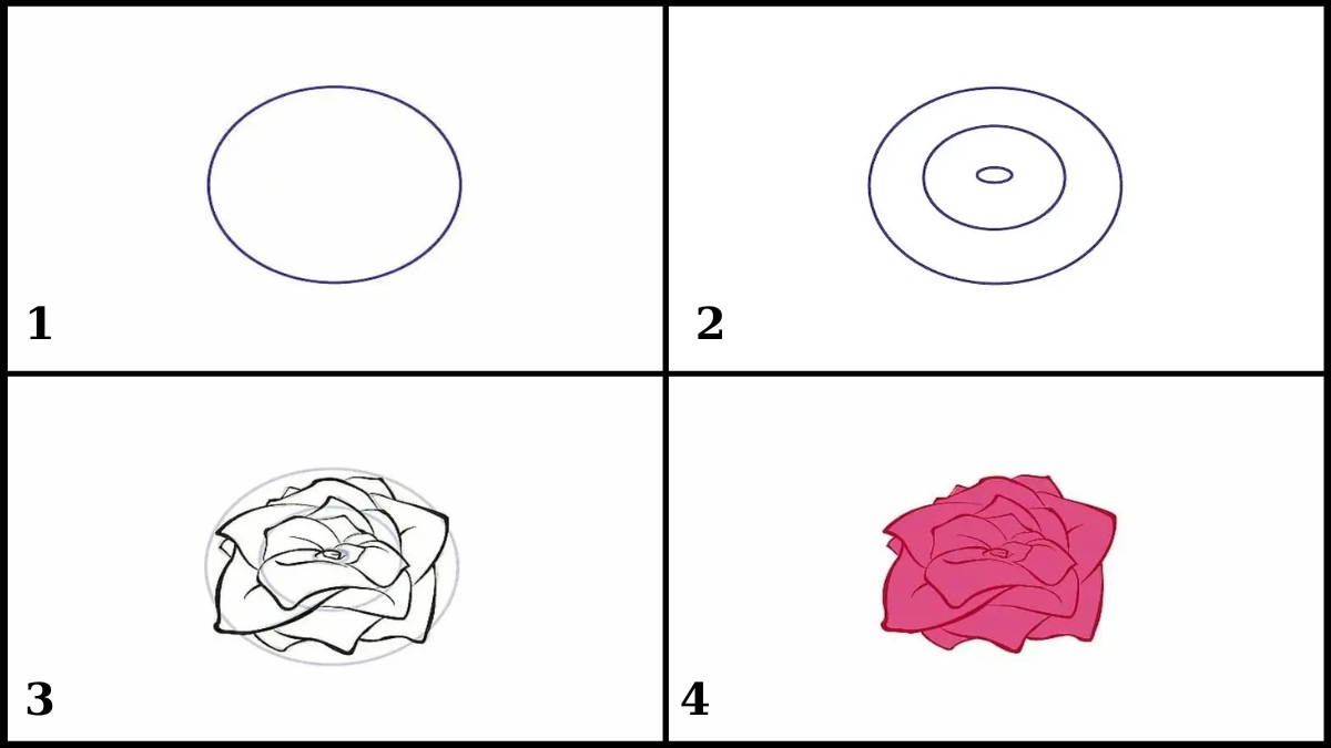 Cách vẽ hoa hồng không có cành